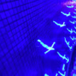 Meet your Posher, Luis